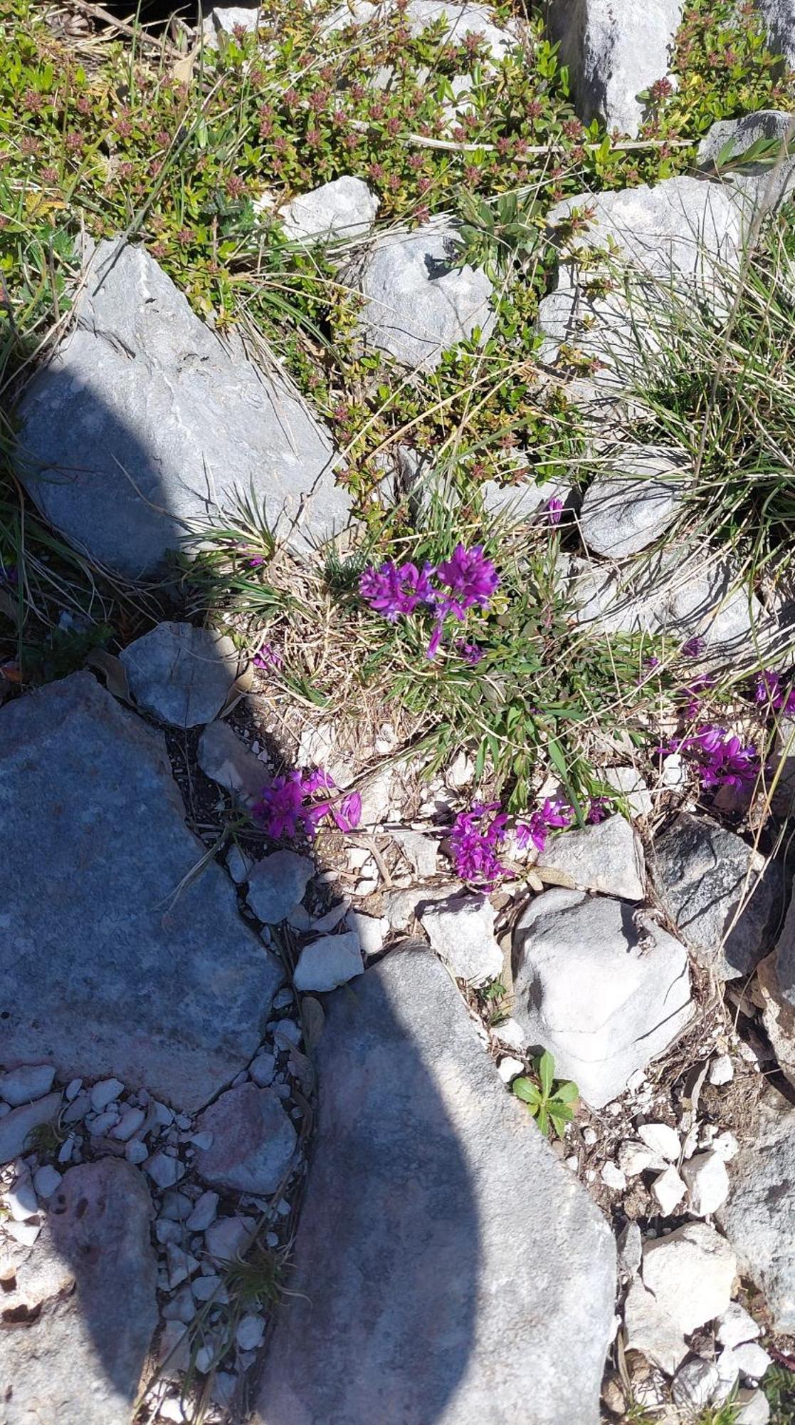 Guesthouse Alberti Llogara Dukat Zewnętrze zdjęcie