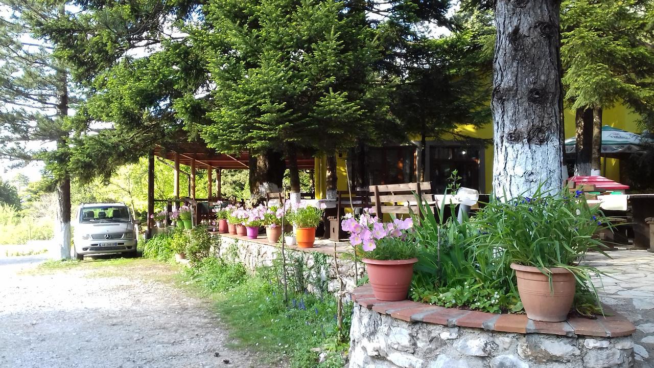 Guesthouse Alberti Llogara Dukat Zewnętrze zdjęcie